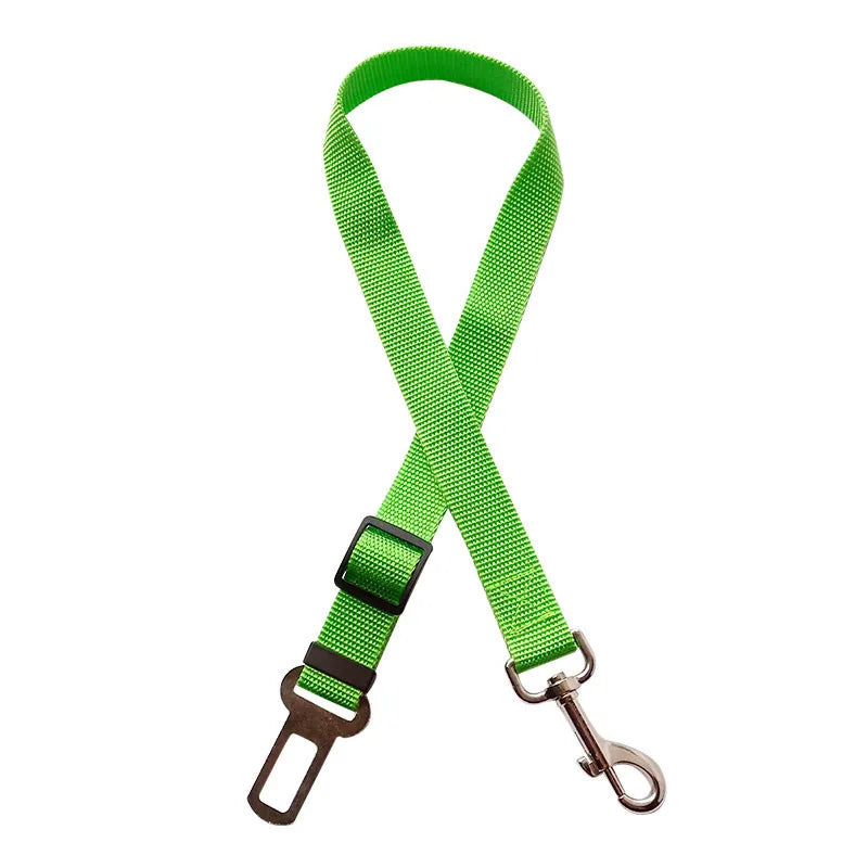 2-in-1 Veiligheidsriem voor de Auto & Wandelen