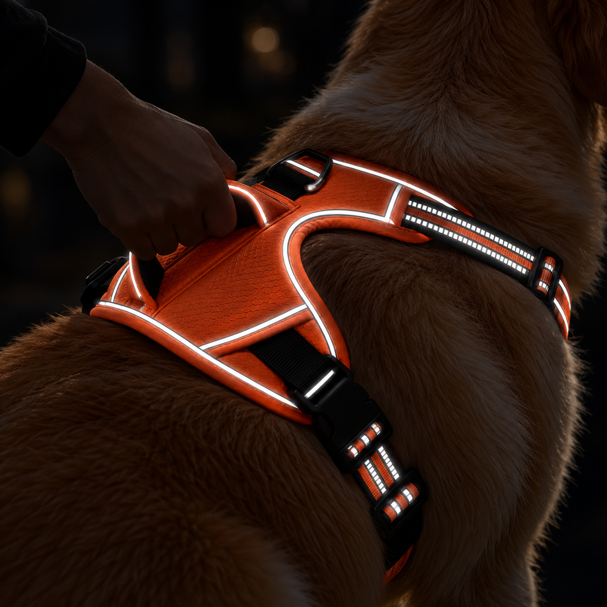 Durable Waterproof Dog Harness with Handle