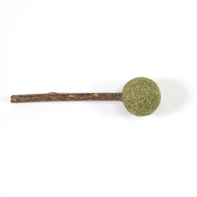 Piruleta de hierba gatera natural para el cuidado dental