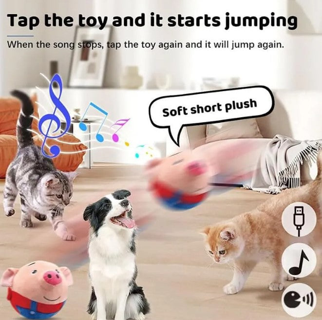 Interactive Moving Plush Ball